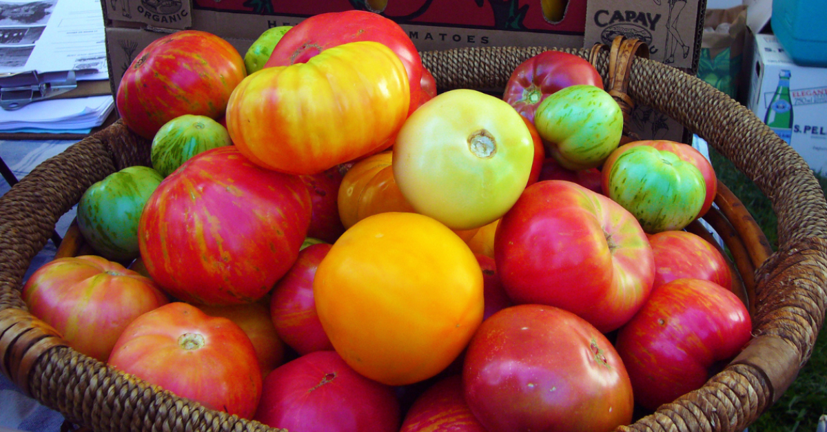 By mercedesfromtheeighties (Capay heirloom tomatoes at Slow Food Nation) [CC BY-SA 2.0], via Wikimedia Commons